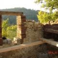 albas10